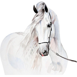 Наклейка на стіну Szeridan D312 із зображенням білого коня, білого коня, тварин, прикраса для дому, наклейка на стіну для дитячої кімнати, прикраса для дитячої кімнати (м - 77 х 70 см)
