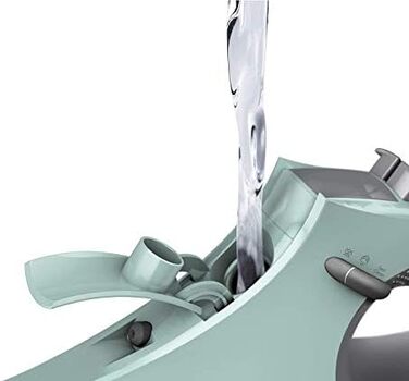 Singer Steamcraft Glätteisen Plus: праска з парою, м'ятно-зелений колір