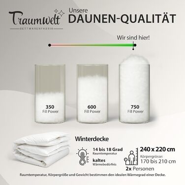 Німецька пухова ковдра 135x200 см з 90% пуху та 10% пера, для всіх сезонів, гіпоалергенна (nomite), сертифікат Öko-Tex 100 Клас 1, Downpass, тепла зимова ковдра