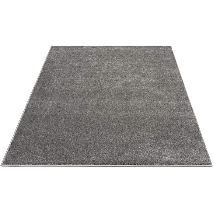 Килим Marley елегантний дизайнерський килим для вітальні, м'який і не вимагає особливого догляду килим з коротким ворсом для вітальні з антрациту, т