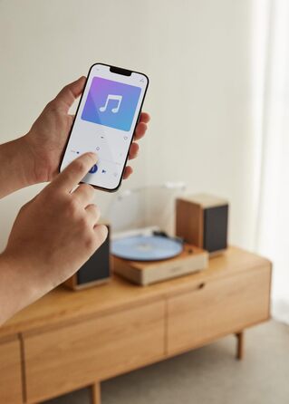Програвач вінілу CREATE Salbeigrün з Bluetooth, USB, SD, MicroSD, Mp3, натуральне дерево, PRO