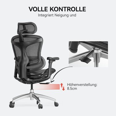 Офісне крісло SIHOO Doro C300 з 3D-підлокітниками 70х70х125 см чорне