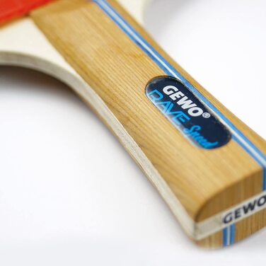 Набір ракеток для настільного тенісу GEWO Rave Speed-керована ракетка для настільного тенісу для початківців з 3 м'ячами-повнорозмірна ракетка з покриттям ITTF, висока керованість і швидкість, увігнута, губка товщиною 2 мм