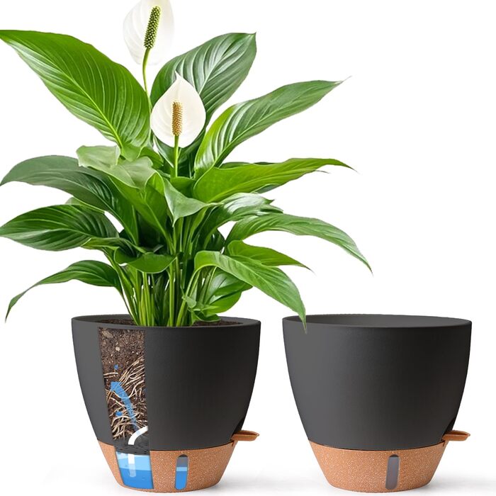 Набір з 4 самополивних горщиків T4U з індикатором рівня води, 30 см, чорний, для дому та саду