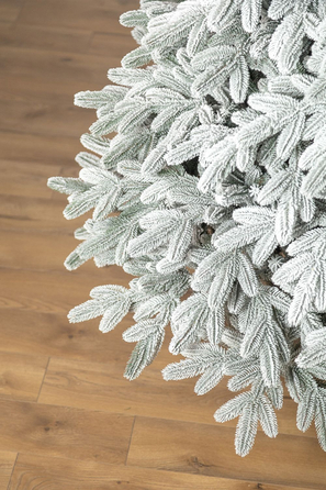 Ялинка лита 'Лапландська' ЗАСНІЖЕНА ПАРАСОЛЬКА 1,50м