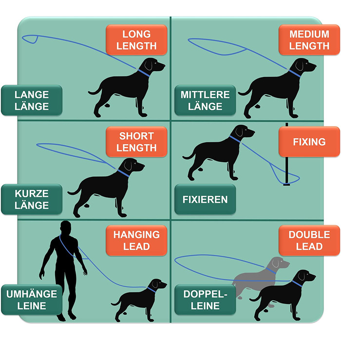Повітряна сітка для собак DEY-преміум-класу, 2 м, Регульована в 3 рази, для маленьких, середніх і великих собак, багато квітів, подвійний поводок для собак, кішок, цуценят, поводок для собак, поводок для собак, S (М / Л - 2,5 х 200 см, чорний)
