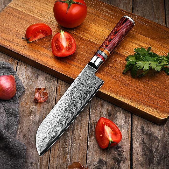 Японський ніж Gyuto FANTECK з дамаської сталі 20 см (67 шарів VG-10) - професійний кухонний ніж з ручкою з паккавуду, в подарунковій коробці