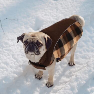 Пальто для собак зимове, водонепроникне, з захистом живота, двостороннє, світловідбиваюче, коричневе, XL