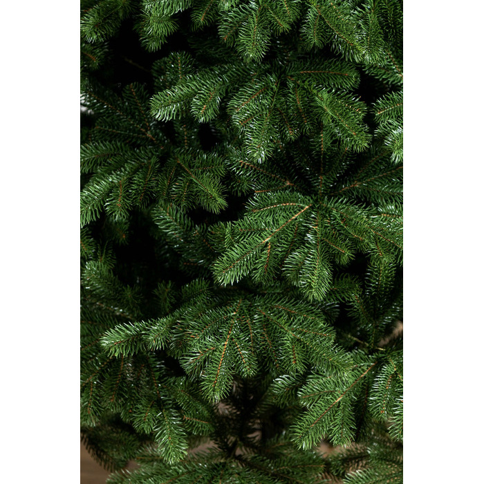 Ялинка лита 'Версальська' Зелена 2,50м