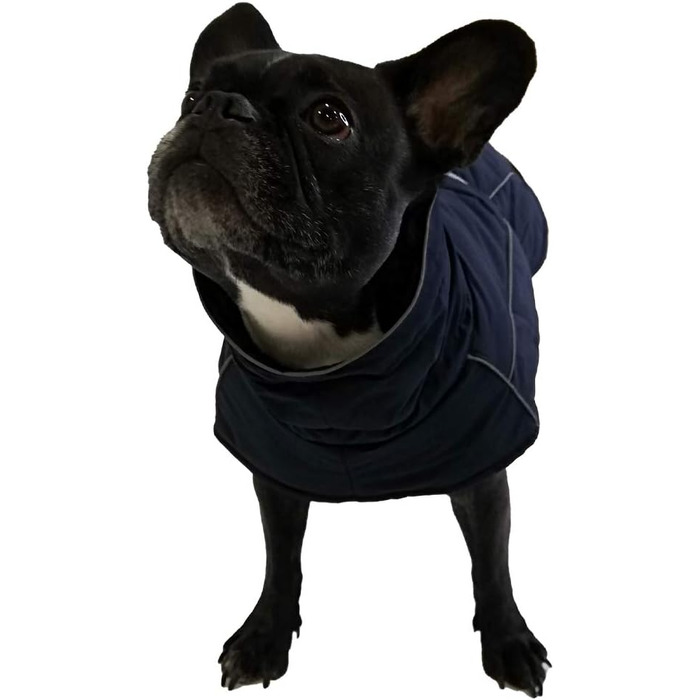 Куртка для собак Croci Hiking, водонепроникна, для собак, на підкладці, зимова, з термопідкладкою, K2, синя, розмір 25 см - 151 г синя 25 см