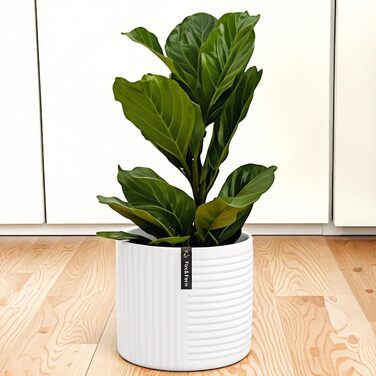 Горщик для квітів Fox & Fern Großer 30,5 см – стильний горщик з якісного полістоуну з 3D-текстурою та дренажним отвором. Великий горщик для дому (білий)