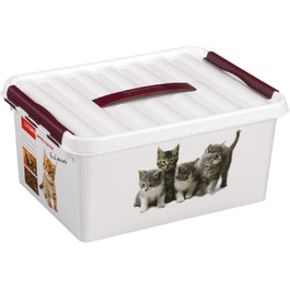 Коробка для прикрас для домашніх тварин CURVER 15 л, пластикова, прозора, 1,1 х 1,1 см, 75 шт.