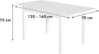 Обідній стіл Newfurn Wild Oak 120x76.5x70 см, розкладається до 160 см, в т.ч. стільниця 40 см, антрацит, білий