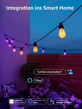 Lepro LED гірлянда для зовнішнього використання 30м, RGB+тепле біле світло, Wi-Fi, керування через додаток, сумісна з Alexa/Google, IP65, AI-дизайнер світла, 30 LED, без пульта