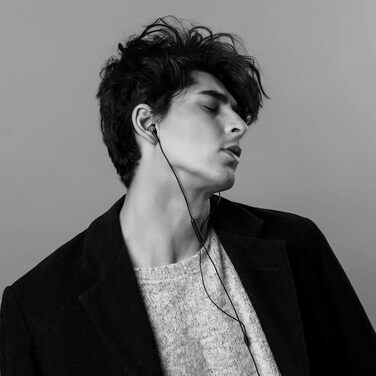 Навушники 1MORE E1010 Quad-Driver Hi-Fi In-Ear з мікрофоном та пультом керування. Сумісні з iOS та Android. Чорний колір.