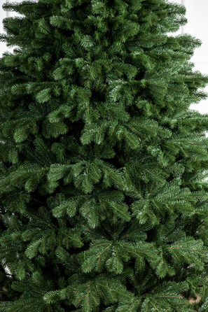 Ялинка лита 'Версальська' Зелена 1,80м