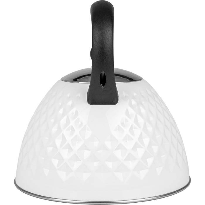 Чайник електричний Induktion 3L з автоматичним свистком - нержавіюча сталь, для індукційних, газових та електричних плит