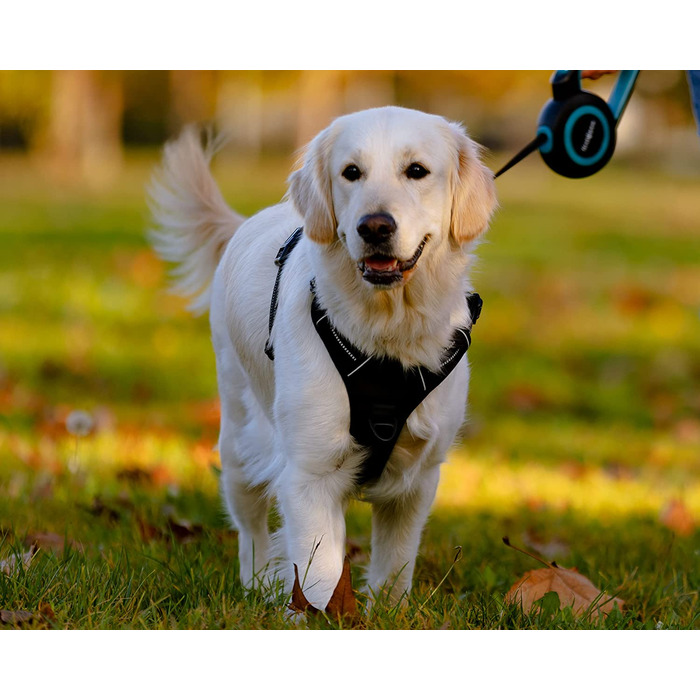 Захисна шлейка FIRSTPAW для собак середнього розміру M, світловідбиваюча, регульована, м'яка і дихаюча шлейка для собак середнього розміру
