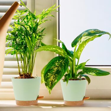 Набір горщиків для квітів з автополивом, 6 шт., чорний (зелений+коричневий), різні розміри, для дому та балкона