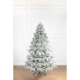 Ялинка лита 'Версальська' ЗАСНІЖЕНА ПАРАСОЛЬКА 2,30м