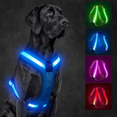 Світлодіодна шлейка для собак KOSKILL, акумуляторна, з підсвічуванням, світловідбиваюча, для нічних прогулянок (L, синя)