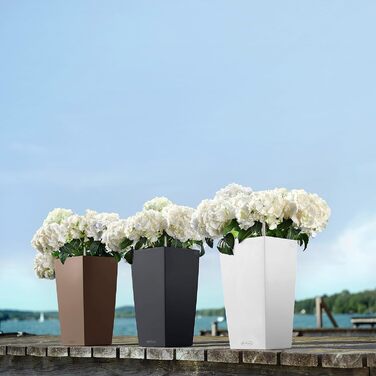 Горщик Lechuza Cubico 40 Комплект (Мускат, 22x22x41 см, Колір)