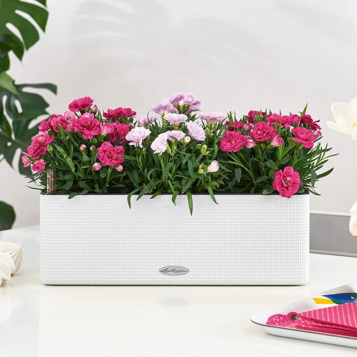 Горщик LECHUZA CUBE Color Triple (колишня BALCONISSIMA) 13680, сірий сланець (2 шт., 40x14x13,5 см)