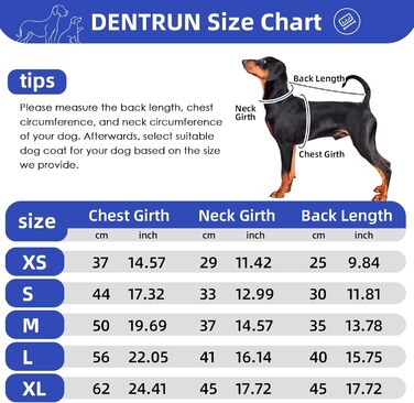 Зимове пальто для маленької собаки DENTRUN, знімна водолазка, затишний светр, вітрозахисна флісова піжама, синя