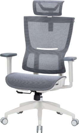 Крісло офісне OfficePro Elegant OC660-W-DG-DG