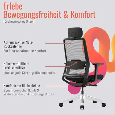 Яса Чейр Плюс: Ергономічне офісне крісло з підголівником, 2D-підтримкою попереку та 4D-підлокітниками | Переможець тесту! До 150 кг, чорний