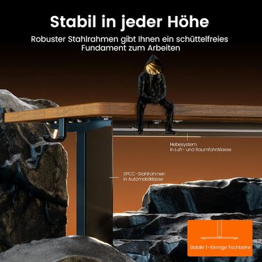 Електричний регульований стіл ErGear 160x80 см з 4-ма пам'ятними настройками, з'єднувальною пластиною, для дому та офісу, вінтажний колір дерева