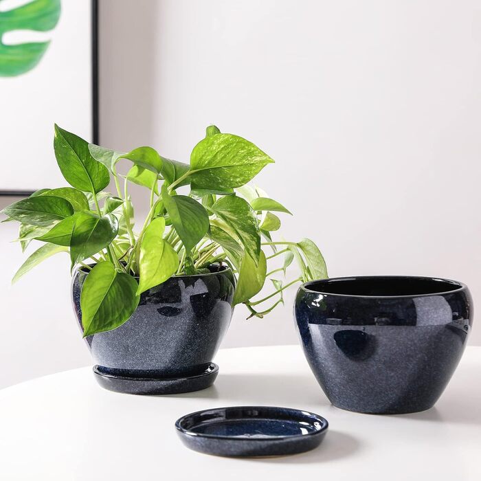 Керамічні горщики для квітів Vicrays - 16,5 см, з дренажем та підставкою, для сукулентів, орхідей, квітів, трав, кактусів, для дому та саду, блакитний