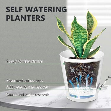 5 шт. пластикові горщики для квітів з системою поливу, 17.8/16.5/15.2/13.9/12.7 см. Самополивні горщики з підставкою, круглі, для дому, балкону, саду, сукулентів, кактусів, зелені (білі)