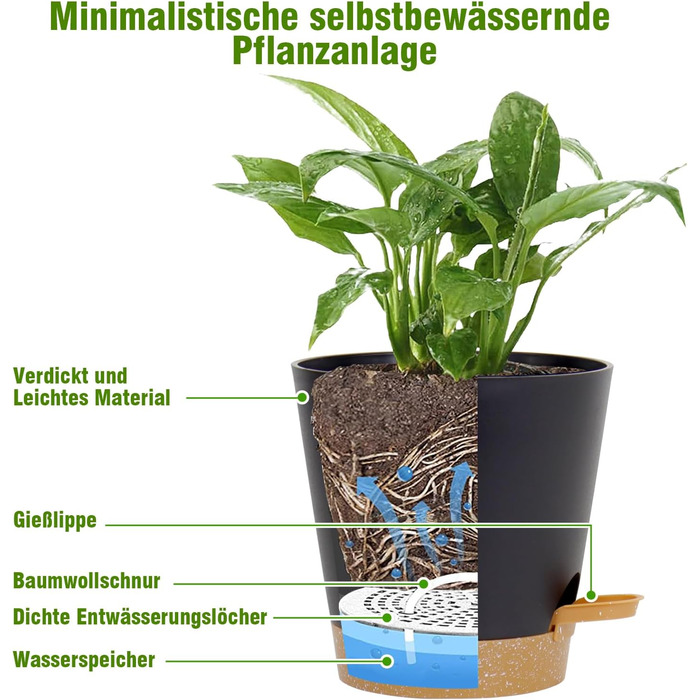 Набір горщиків для квітів 6 шт. з автополивом, 20.3-12.7 см, з підставкою, для дому та балкону, чорний/коричневий