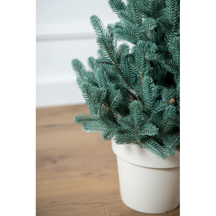 Ялинка лита 'Віденська' в горщику блакитна 0,90м