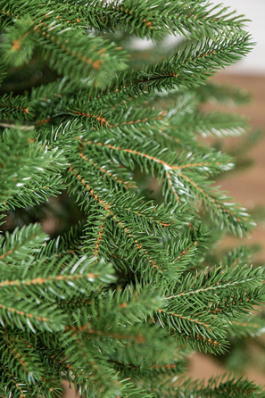 Ялинка лита 'Альпійська' ПАРАСОЛЬКА ЗЕЛЕНА 2,30м