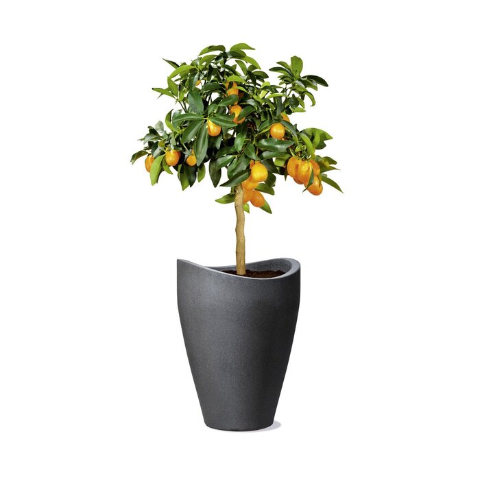 Ваза Scheurich Wave Globe High, чорно-гранітний колір, діаметр 29.8 см, висота 40 см, об'єм 6 л