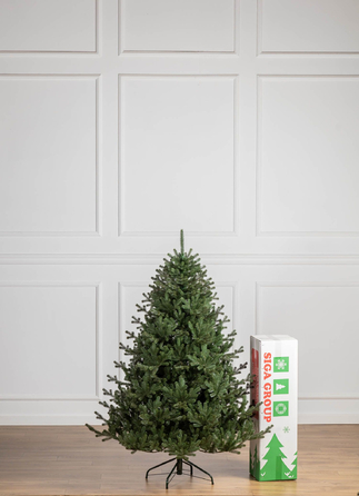 Ялинка лита 'Міланська' ПАРАСОЛЬКА ЗЕЛЕНА 1,80м