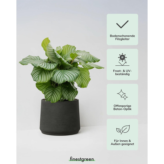 Вазон Patt Pflanzgefäß Grau L: сірий, бетонна текстура, для дому та саду, морозостійкий, UV-стійкий, водонепроникний (16.5x13.2x14 см)