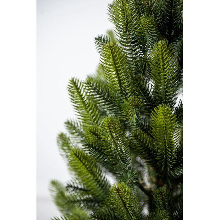 Ялинка лита 'Лапландська' в горщику ВЕСНЯНА 0,90м