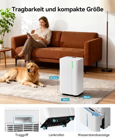 EUHOMY Електричний осушувач повітря для підвалу з відведенням води, тихий та економічний, з автоматичним розморожуванням, таймером, для квартири до 50 м² (12 л/день)