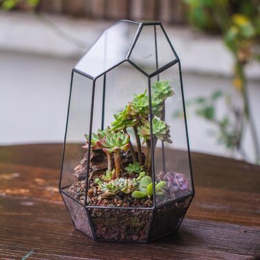 Скляне тераріум NCYP 16,5x16,5x25cm: геометричний дизайн, горщик для сукулентів та папоротей (без рослин)