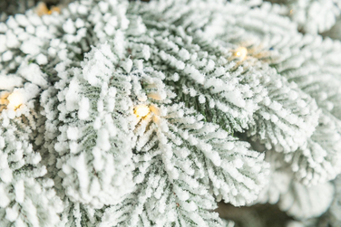 Ялинка лита 'Ковалівська' ЗАСНІЖЕНА LED (золотий - білий) 2,50м