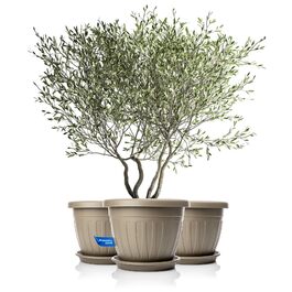 розмір: ø50xh38 см