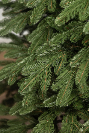 Ялинка лита 'Лапландська' ПАРАСОЛЬКА ЗЕЛЕНА 1,50м