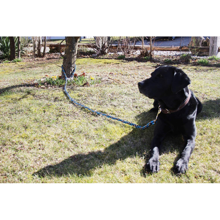 Плетений повідець для собак, мультицепь, Регульований в 4 рази, довжиною 2,80 м, круглий, діаметром 15 мм, для великих і великих собак, виготовлений в Німеччині (2,80 м, синьо-чорно-білий), 4Dogs