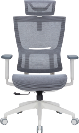 Крісло офісне OfficePro Elegant OC660-W-DG-DG