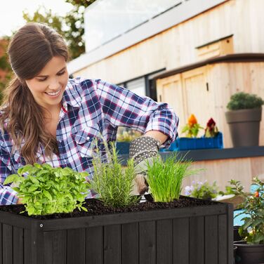 Підвищене грядка Relaxdays з соснового дерева