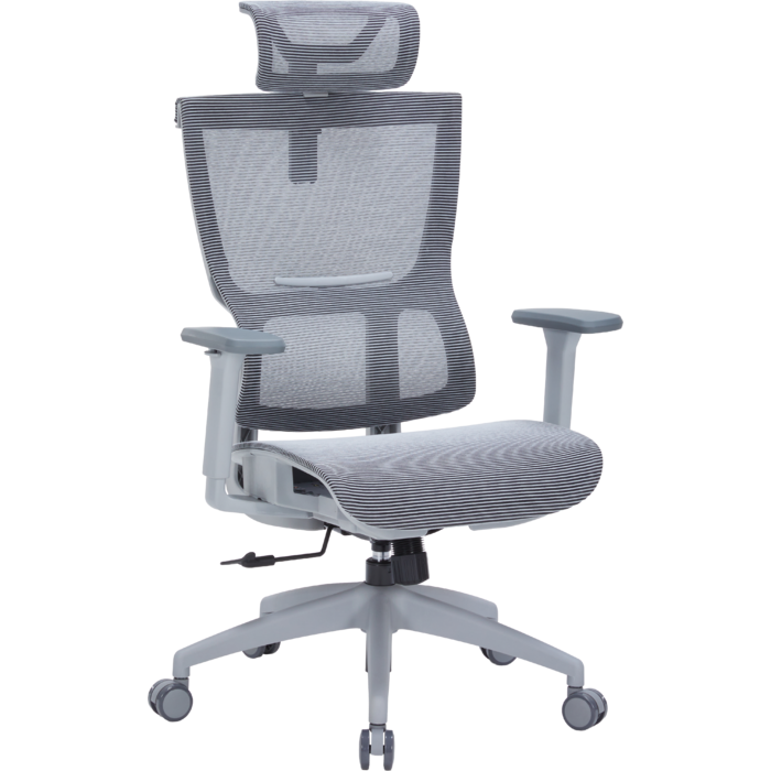 Крісло офісне OfficePro Elegant OC660-G-DG-DG