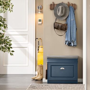 Полка для взуття SoBuy з сидінням та місцем для зберігання, вузька, 60x51x24 см, FSR82-K-HG (Короткий, Синій)